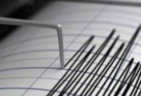 Землетрясение магнитудой 4 произошло на казахстанско-китайской границе
