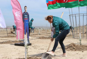 По случаю 100-летнего юбилея Гейдара Алиева проведена очередная акция по посадке деревьев
