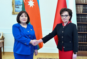 Председатель Милли Меджлиса провела встречу с маршалом Сейма Польши
