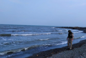 В Лянкяране на пляже обнаружили мину
