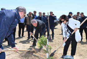 В связи со 100-летием общенационального лидера Гейдара Алиева прошла акция по посадке деревьев -ФОТО
