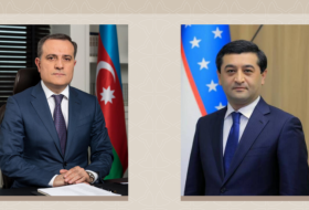 Главы МИД Азербайджана и Узбекистана обсудили вопросы стратегического партнерства
