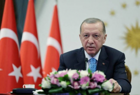 Эрдоган обратился к гражданам Турции, проживающим за границей
