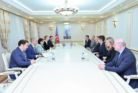 Зампредседателя парламента: Хорватия заинтересована в развитии сотрудничества с Азербайджаном
