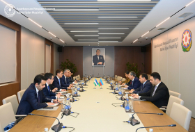 МИД Азербайджана и Узбекистана провели политконсультации