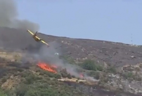 В Греции упал самолет, который тушил лесной пожар на фоне аномальной жары -ВИДЕО
