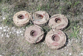 Минобороны: На прошлой неделе на освобожденных территориях обнаружены 293 мины