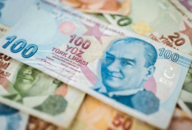 Турецкая лира вновь обновила исторический минимум к доллару
