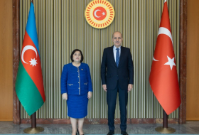 Сахиба Гафарова: 100-летие Турецкой Республики - это праздник и для Азербайджана