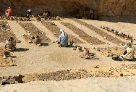 В Египте обнаружили сотни кувшинов с вином возрастом около 5 тыс. лет
