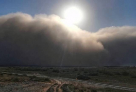 В ООН предупредили об учащении песчаных и пылевых бурь по всему миру
