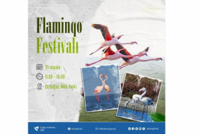 В Гызылагаджском национальном парке пройдет Фестиваль фламинго