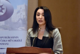 Омбудсмен: Азербайджан – одна из стран, наиболее страдающих от двойных стандартов