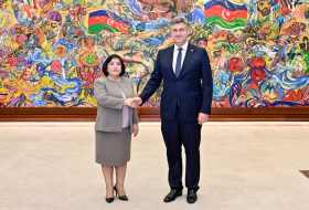 Председатель Милли Меджлиса встретилась с премьер-министром Республики Хорватия