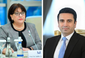 Спикеры парламентов Азербайджана и Армении встретятся в Женеве
