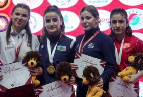 Азербайджанская спортсменка удостоена золотой медали в Турции