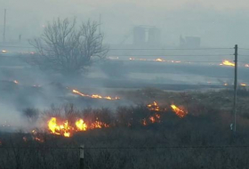Из-за масштабного лесного пожара в Техасе погибли не менее двух человек
