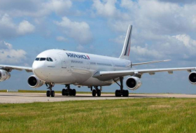 Самолет министра иностранных дел Германии Бербок распродадут на запчасти
