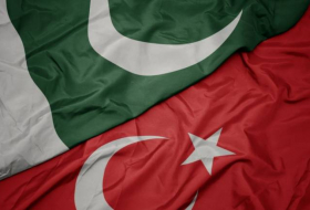 Турция и Пакистан проводят совместные военные учения
