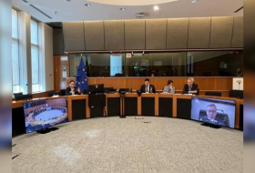 Состоялась онлайн-встреча Парламентской группы Монголии и ЕС
