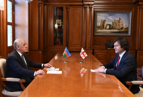 В Баку состоялась встреча премьер-министров Азербайджана и Грузии
