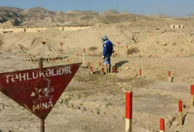Эксперты ANAMA отчитались об обезвреживании десятков мин