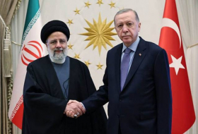 Президенты Турции и Ирана обсудили региональные вопросы
