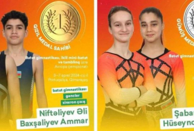 Азербайджанские гимнасты завоевали золото и серебро на чемпионате Европы