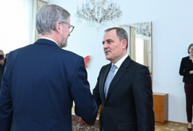 Глава МИД Азербайджана встретился с премьер-министром Чехии 