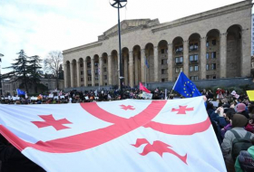 Грузинская оппозиция объявила «полную мобилизацию»
