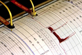 В Турции произошло землетрясение магнитудой 4,5
