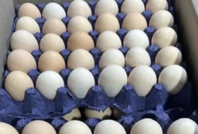 Азербайджан поставил на российский рынок 29,3 млн яиц