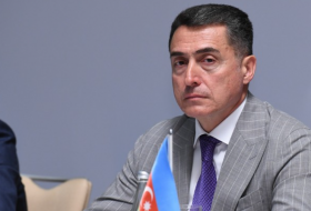 Али Гусейнли: Реакция Блинкена на обеспокоенность Баку это показатель авторитета Ильхама Алиева