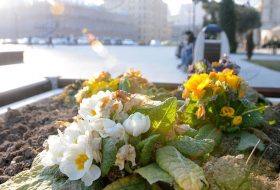 В Баку ожидается 32 градуса тепла