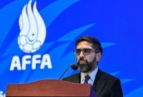 Ровшан Наджаф инициировал финансовую проверку в АФФА