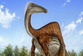 В Боливии найден гигантский след динозавра