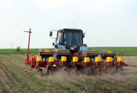 Азербайджанские фермеры получат государственные субсидии