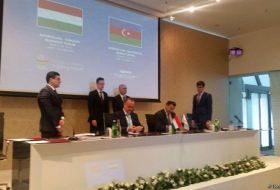 Между Азербайджаном и Венгрией подписаны документы 