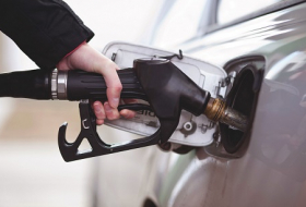 Цены на бензин не снизятся 