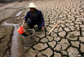 Ученые: Изменение климата может вызвать всемирный голод через 10 лет
