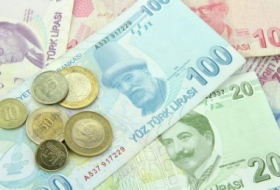 Турецкая валюта рухнула до рекордного минимума
