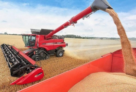 МЧС повысило закупочные цены на зерно 