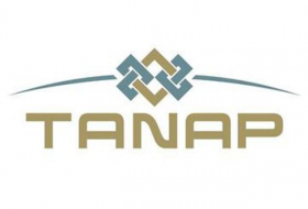 ЕС и Турция обсудят проект TANAP