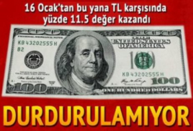 Турецкая лира подешевела на 11,5%