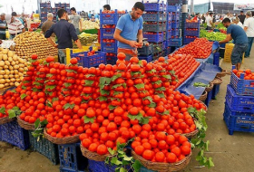 Россия допустит на свой рынок сельхозтовары из Турции