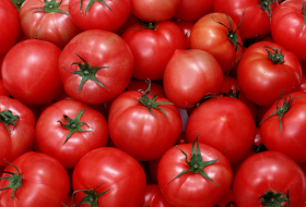 Россия и Турция решат судьбу турецких томатов