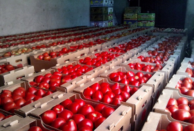 Азербайджан увеличил экспорт помидоров в Россию
